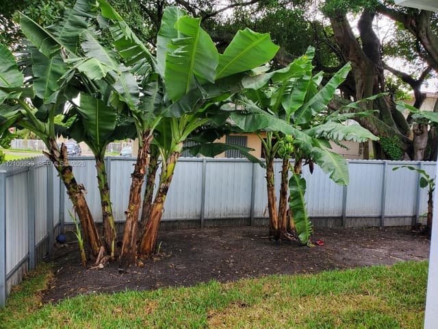 1212 NW 71st St, Miami FL 33147 - Miami, FL - Photo 6