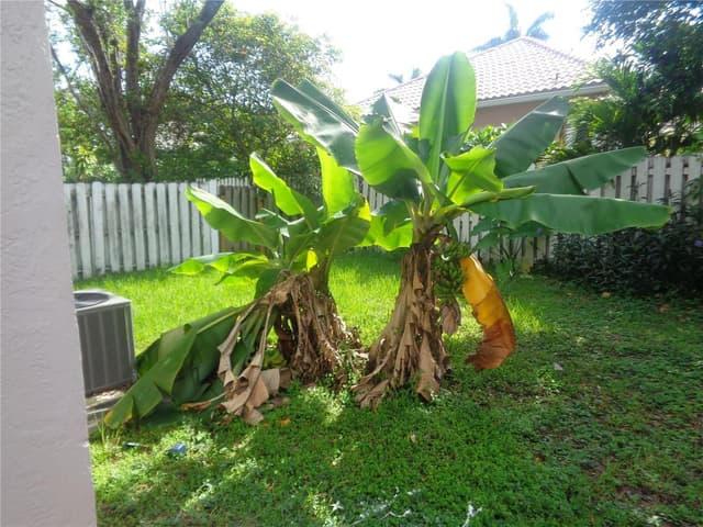 10939 W BROWARD Boulevard # 10939, Plantation FL 33324 - Plantation, FL - Photo 5