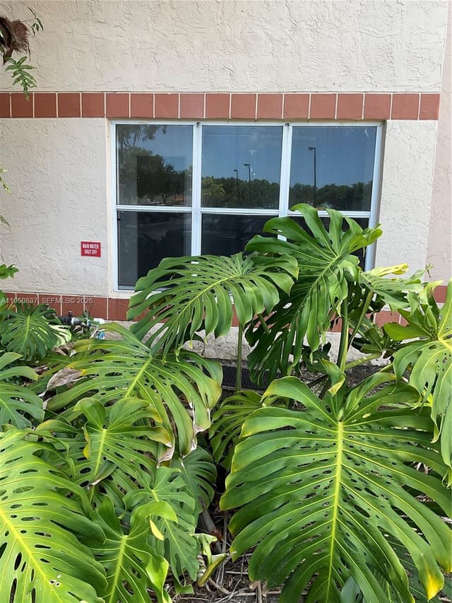 3320 N Pinewalk Dr N # 1715, Margate FL 33063 - Margate, FL - Photo 5