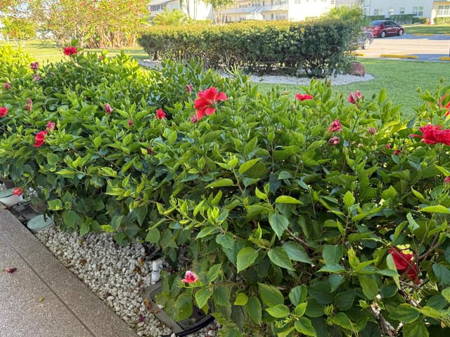81 Camden Drive # D, West Palm Beach FL 33417 - West Palm Beach, FL - Photo 6
