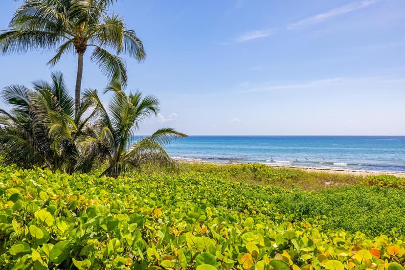 246 NE 14th Street, Delray Beach FL 33444