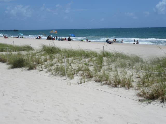 4050 N OCEAN Drive # 1509, Lauderdale By The Sea FL 33308 - Lauderdale By The Sea, FL - Photo 3