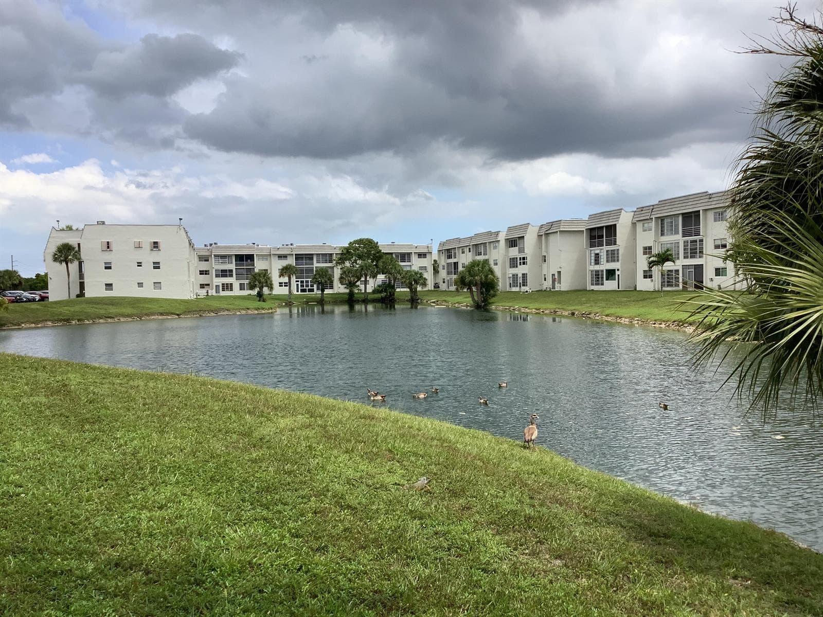 8400 Sunrise Lakes Boulevard Unit 101, Sunrise FL 33322 - Sunrise, FL - Photo 1