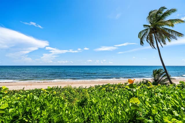 2000 N Ocean Boulevard # 103, Boca Raton FL 33431 - Boca Raton, FL - Photo 7